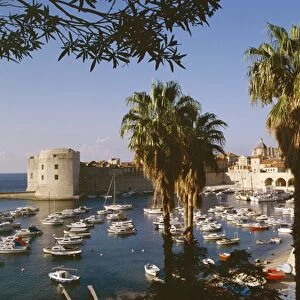 Dubrovnik, Adriatic coast, Croatia, Europe