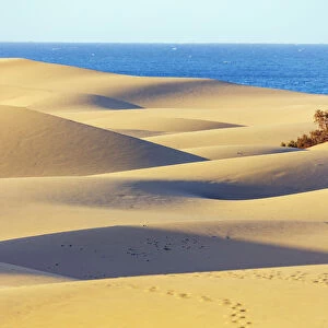 Dunes of Maspalomas Nature Reserve, Gran Canaria, Canary Islands, Spain, Atlantic, Europe