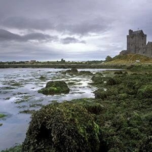 Dunguaire Castle dating from the 16th century and coast