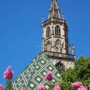 Duomo, Walther Platz, Bolzano, Bolzano Province, Trentinto-Alto Adige, Italy, Europe