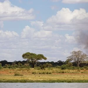 A dust tornado (dust devil), Tsavo, Kenya, East Africa, Africa