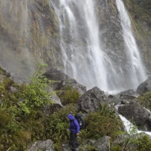 Earland Falls, Routeburn Track, Fiordland National Park, UNESCO World Heritage Site, South Island, New Zealand, Pacific