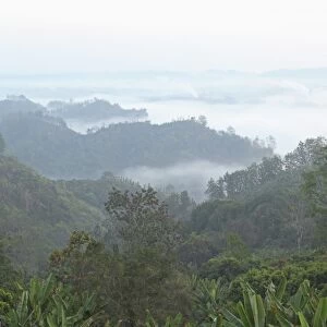 Early morning mist and smoke from brickworks in the valley over the jungle of Bandarban, Chittagong Division, Bangladesh, Asia
