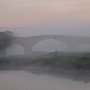 Eden Bridge, Lazonby, Eden Valley, Cumbria, England, United Kingdom, Europe