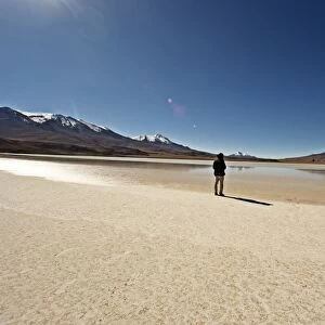 At the edge of a salt lake high in the Bolivian Andes, Bolivia, South America