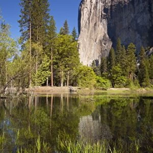 El Capitan, a 3000 feet granite monolith, with the Merced River flowing through the flooded meadows of Yosemite Valley, Yosemite National Park, UNESCO World Heritage Site, Sierra Nevada, California, United States of America