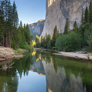 El Capitan reflected in the River Merced at dawn, Yosemite Natiional Park, UNESCO World Heritage Site, California, United States of America, North America