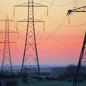 Electricity pylons at daybreak, Derbyshire / Nottinghamshire border, England, United Kingdom, Europe