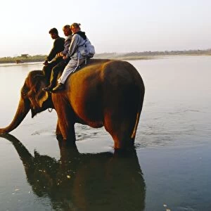 Elephant carrying tourists on its back in the Reu river