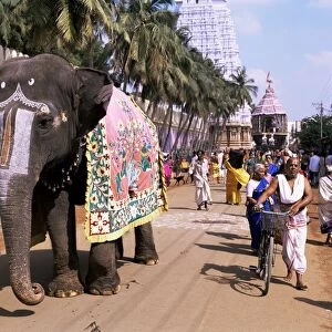 An elephant leads procession of huge chariot outside