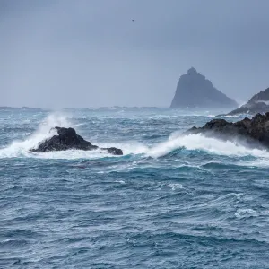 Elsehul Bay, South Georgia, South Atlantic Ocean, Polar Regions