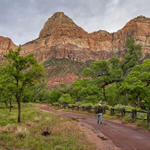 Enjoying the view in Zion National Park, Utah, United States of America, North America