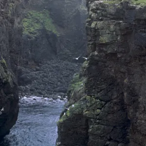 Eshaness basalt cliffs, Calders Geo, ancient volcanic crater, coast deeply eroded with caves