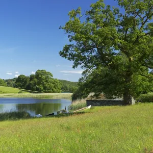 Esthwaite Water, Lake District National Park, Cumbria, England, United Kingdom, Europe