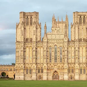 Evening light on the West Front, Wells Cathedral, Wells, Somerset, England, United Kingdom, Europe