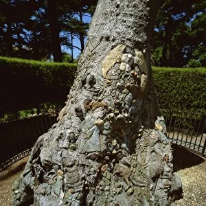 Fairy tree, Fitzroy Gardens, Melbourne, Victoria, Australia, Pacific