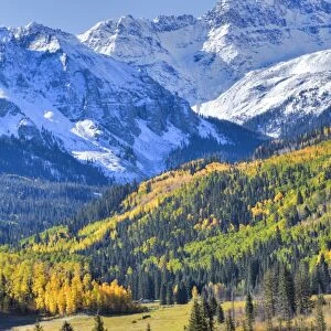 Fall Colors, Road 7, Sneffels Range in the background, near Ouray, Colorado, United