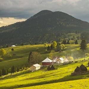 Farm and haystacks in the rural Transylvania landscape at sunset, Piatra Fantanele