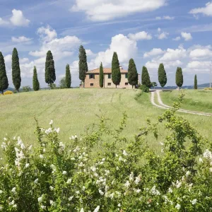 Farm house with cypress trees, near Pienza, Val d Orcia (Orcia Valley), UNESCO World Heritage Site