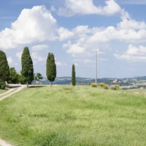 Farm house with cypress trees near Pienza, Val d Orcia (Orcia Valley), UNESCO World Heritage Site