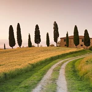 Farm house with cypress trees at sunset, near Pienza, Val d Orcia (Orcia Valley)