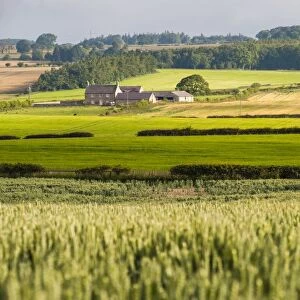 Farm house in Northumberland National Park, near Hexham, Northumberland, England, United Kingdom, Europe