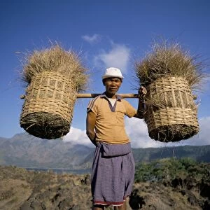 Farmer carrying baskets