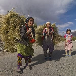 Farmers with harvested hay, Wakhan Valley, Tajikistan, Central Asia, Asia