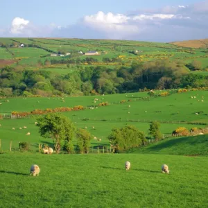 Farming countryside