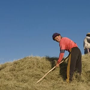Farming family working in the field, Sary Tash, Kyrgyzstan, Central Asia, Asia