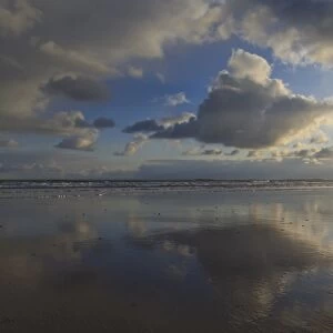 Farne Islands reflections, from Bamburgh beach, Bamburgh, Northumberland, England, United Kingdom, Europe