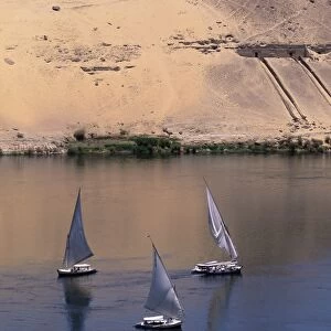 Three feluccas on the River Nile, Aswan, Nubia, Egypt, North Africa, Africa