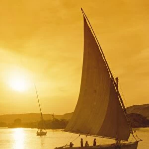 Feluccas under sail at sunset on the Nile river, Egypt