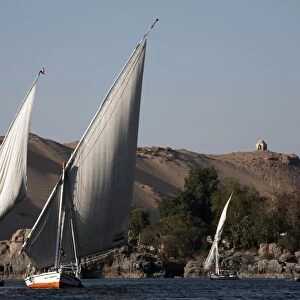 Feluccas sailing on the river Nile at Aswan, Egypt, North Africa, Africa