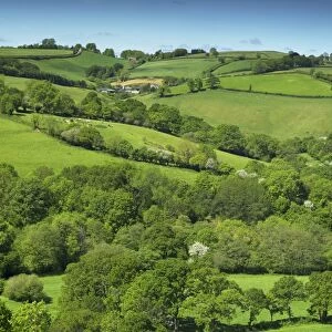 Fields near Cadleigh, Mid Devon, Devon, England, United Kingdom, Europe