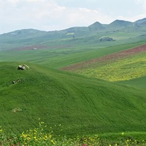 Fields and rolling hills in a typical landscape near