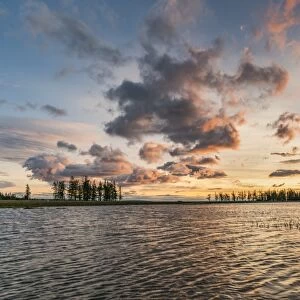 Fir trees and clouds reflecting on the suface of Hovsgol Lake at sunset, Hovsgol province