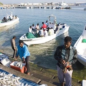 Fish market, Doha harbour, Doha, Qatar, Middle East