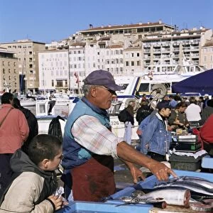 Fish market, Vieux Port, Marseille, Bouches du Rhone, Provence, France, Europe