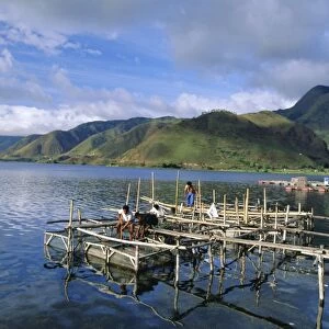 Fish rearing cages on northern tip of Lake Toba