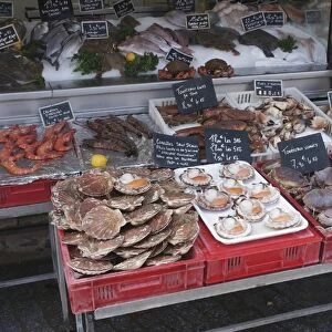 Fish stall, Trouville, Calvados, Normandy, France, Europe