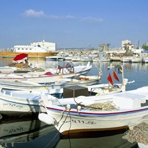 Fishing boats in the fishing harbour