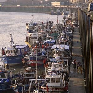 Fishing boats in harbour, Boulogne, Pas de Calais, Nord, France, Europe