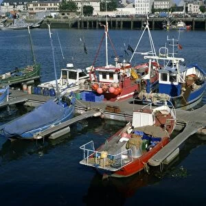 Fishing boats in the harbour, Cherbourg, Normandy, France, Europe