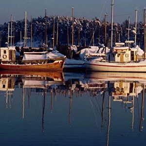 Fishing boats moored at dusk