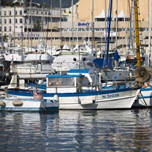 Fishing boats, Vieux Port, Cannes, Alpes Maritimes, Provence, Cote d Azur
