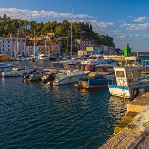 Fishing nets and fishing boats, Old Town Harbour, Piran, Primorska, Slovenian Istria, Slovenia, Europe