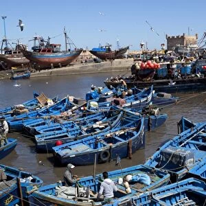 Fishing port with traditional boats in front of the old fort, Essaouira, Atlantic coast, Morocco, North Africa, Africa