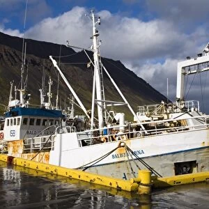 Fishing vessels, Port of Isafjordur, West Fjords Region, Iceland, Polar Regions