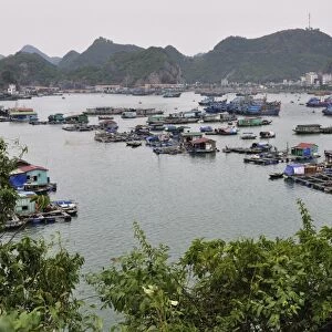 Floating village in Cat Ba Harbour, Cat Ba Island, Vietnam, Indochina, Southeast Asia